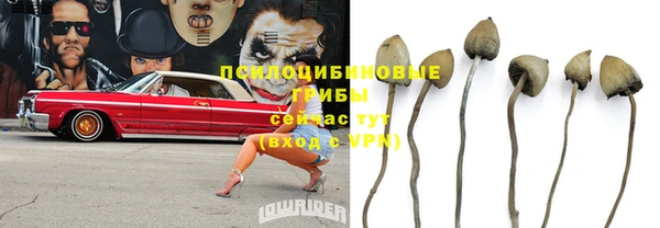 стаф Саяногорск