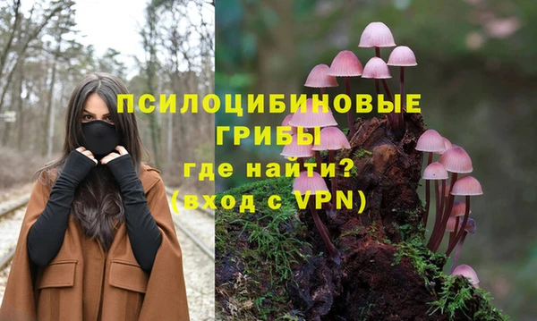 скорость Алзамай