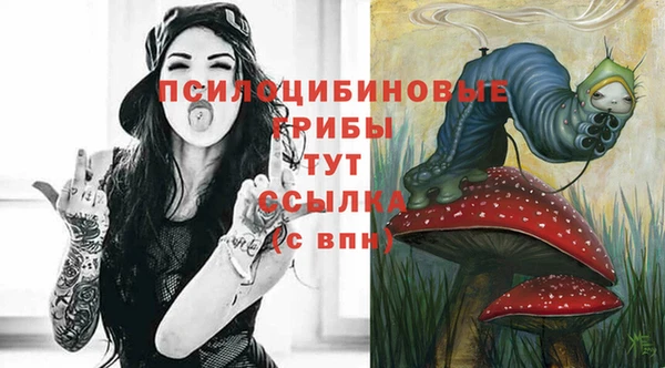 кокс Алексин