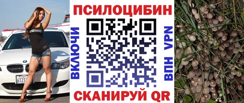 наркотики  Буй  Псилоцибиновые грибы ЛСД 